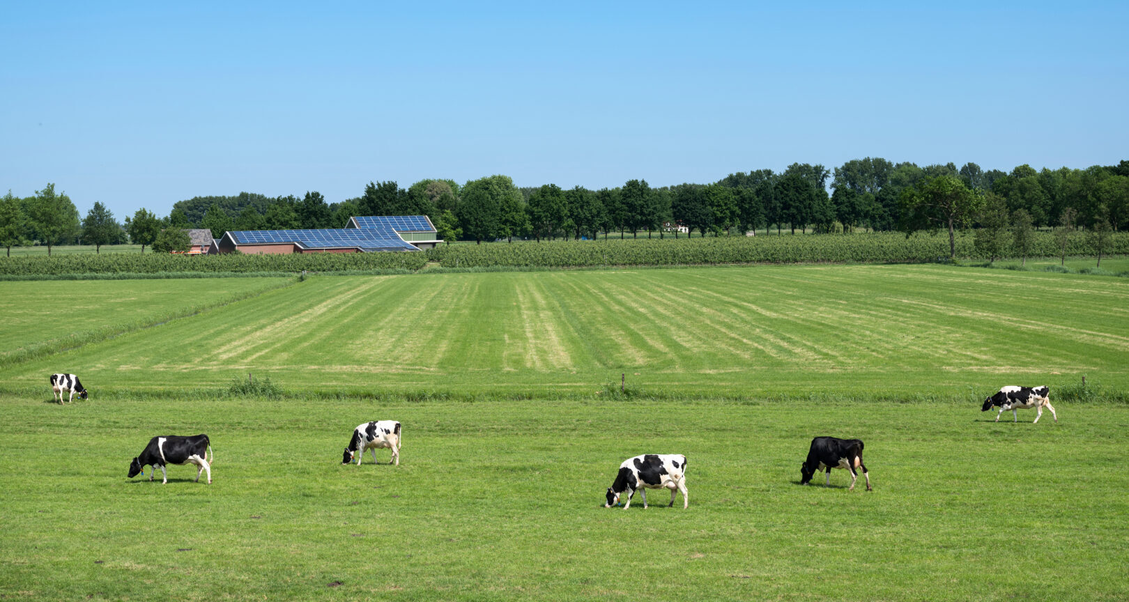 agrarisch-energieopslag-batterij